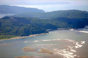 Beaches and reefs lie on the wet side of Violin Island.